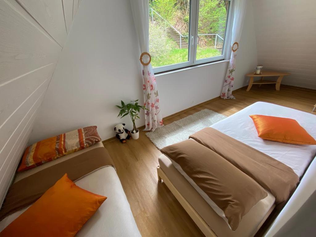 Haus Adler - Komplettes Ferienhaus Am Badesee Erzgrube Ngoại thất bức ảnh